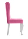 Stylish pink chair. Element of interior design Royalty Free Stock Photo