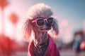 Stylish poodle with pink sunglasses. Generate ai