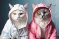 Stylish portrait of two hipster cats dressed as humans. Generative AI