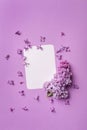 Stylish postcard with fresh splendid lilac flowers and empty tag for your text on purple background