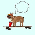 Contemporary artwork, conceptual collage. Cute funny dog, french bulldog standing on longboard isolated on light
