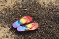 Stylish rainbow flip flops on pebbles at beach, above view