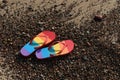 Stylish rainbow flip flops on pebbles at beach, above view. Space for text