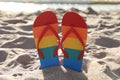 Stylish rainbow flip flops in sand on beach
