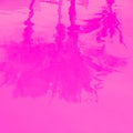 Stylish relax wallpaper..Water background in the pool and palm trees reflection . Minimal in details. Pink Trendy colours design