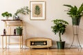 Retro space interior at home with gold mock up frame and vintage radio. Royalty Free Stock Photo