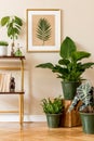 Retro space interior at home with gold mock up frame and vintage radio and potted plants. Royalty Free Stock Photo