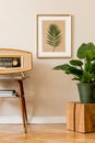 Retro space interior at home with gold mock up frame and vintage radio and potted plants. Royalty Free Stock Photo