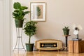 Retro space interior at home with gold mock up frame and vintage radio and potted plants. Royalty Free Stock Photo