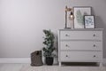 Stylish room interior with chest of drawers and green eucalyptus tree, space for text Royalty Free Stock Photo