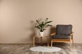 Stylish room interior with comfortable armchair and plant near color wall Royalty Free Stock Photo