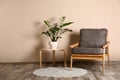 Stylish room interior with comfortable armchair and plant near color wall Royalty Free Stock Photo