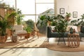 Stylish room interior with different houseplants and furniture near window Royalty Free Stock Photo