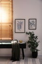 Stylish room interior with green eucalyptus tree, floral paintings and bench Royalty Free Stock Photo