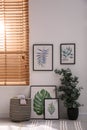 Stylish room interior with green eucalyptus tree and floral paintings Royalty Free Stock Photo