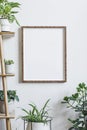 Stylish room interior with mock up photo frame on the brown bamboo shelf with beautiful plants in different designed pots.