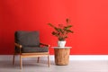 Stylish room interior with modern furniture and houseplant near red wall Royalty Free Stock Photo