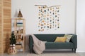 Stylish room interior with sofa and handmade dry orange decor