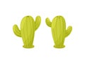 Stylish salt and pepper in the form of cacti. Vector illustration.