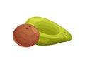 Stylish salt and pepper shaker in the form of avocados. Vector illustration.