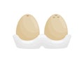 Stylish salt and pepper shaker in the form of eggs. Vector illustration.