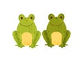 Stylish salt and pepper shaker in the form of frogs. Vector illustration.