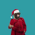 Stylish Santa Claus headed of dog's head congratulating with New Year and Christmas 2022 all people in world