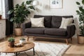 Stylish Scandic living room interior - sofa, armchair, coffee table, plants in pots, lamp, home decorations. Cozy Autumn. Modern c