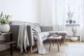Stylish scandinavian interior of living room with small design table ,sofa, lamp and shelfs. White walls, plants on the windowsill Royalty Free Stock Photo