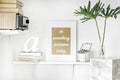 Stylish scandinavian interior with white shelf, white mock up poster frame, suculent in glass box, leaf in vase, papet boxes. Royalty Free Stock Photo