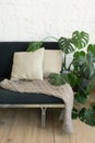 Stylish scandinavian living room interior of modern apartment with black sofa, plaid and cushions, plants. Home decor