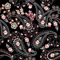 Stylish seamless ethnic pattern with paisley and flowers on black background. Damask, persian, turkish, indian motifs Royalty Free Stock Photo