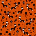 Stylish seamless pattern with black and white foxes and flowers on orange background. Print for fabric and textile