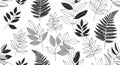 Monochrome Botanical Seamless Pattern with Leaves and Ferns Royalty Free Stock Photo