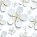 Stylish seamless pattern with white sakura flowers Royalty Free Stock Photo