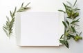 Stylish setting wedding table with place card with olive branch and eucalyptus leaves on white tablecloth Royalty Free Stock Photo