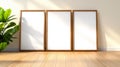 Empty picture frames with blank spaces on the wall next to a plant