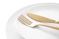 Stylish shiny cutlery and plates on white background, closeup Royalty Free Stock Photo