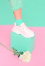 Stylish shoes and roses. Sneakers. Minimal Summer mood concept. Ideal for bloggers, websites, magazines, business owners, Royalty Free Stock Photo