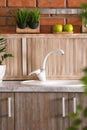 Stylish sink and faucet in modern kitchen Royalty Free Stock Photo