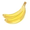 Stylish sketch of a beautiful appetizing healthy fresh fruit banana