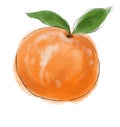 Stylish sketch of a beautiful appetizing healthy fresh fruit orange