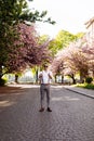 Stylish smiling young man wearing sunglasses, classic white shirt, grey pants and suspenders is standing at city street Royalty Free Stock Photo