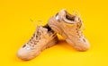 stylish sporty sneakers on yellow background, footgear