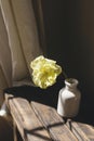 Stylish spring bouquet on rustic wooden bench. Beautiful yellow tulip in vase in sunlight on background of grey wall and linen Royalty Free Stock Photo