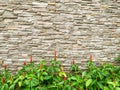 Stylish stone wall texture background with lush bush