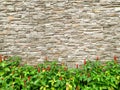 Stylish stone wall texture background with lush bush