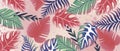 Stylish summer vector illustration in pink colors with palm leaves, monstera leaves, fern for wallpapers, backgrounds, covers, Royalty Free Stock Photo