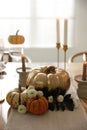 Stylish table setting with candles and autumn decor in dining room Royalty Free Stock Photo