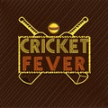 Stylish text for Cricket sports concept. Royalty Free Stock Photo